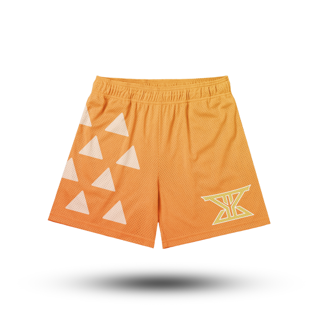 Zenitsu Mesh Shorts